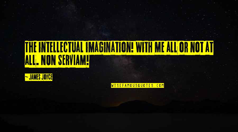 Reedus Walking Quotes By James Joyce: The intellectual imagination! With me all or not