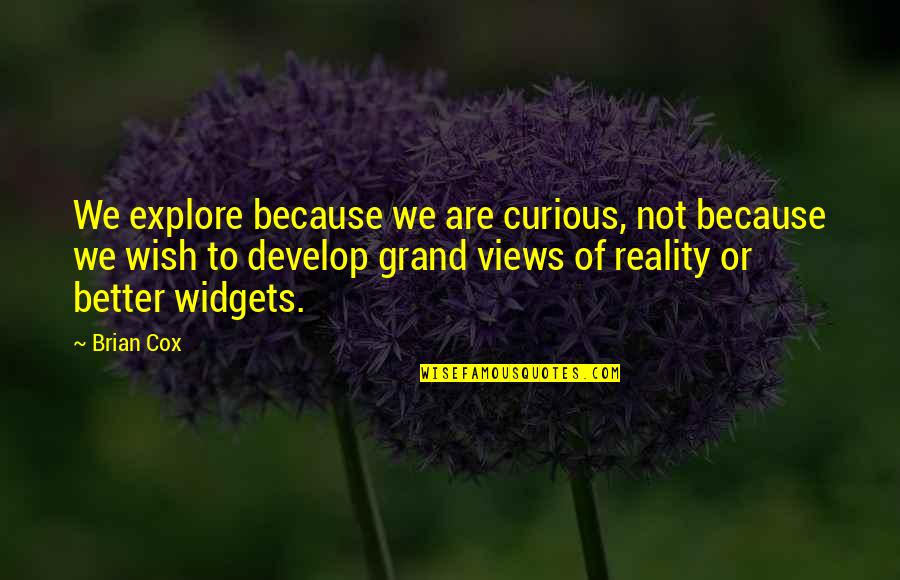 Reeeeeee Quotes By Brian Cox: We explore because we are curious, not because