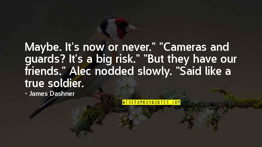Reehorst Cleaners Quotes By James Dashner: Maybe. It's now or never." "Cameras and guards?