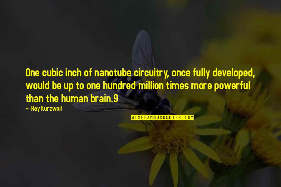 Reely Quotes By Ray Kurzweil: One cubic inch of nanotube circuitry, once fully