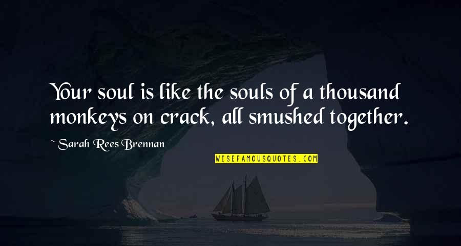 Rees Quotes By Sarah Rees Brennan: Your soul is like the souls of a