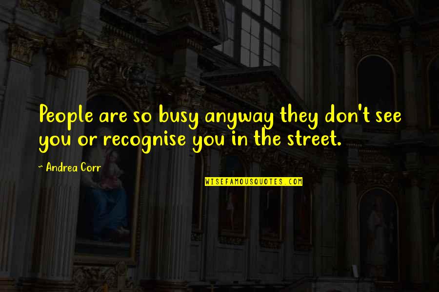 Reevaluated Correct Quotes By Andrea Corr: People are so busy anyway they don't see