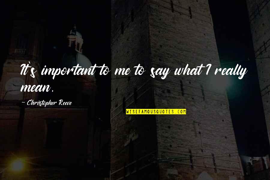 Reeve Quotes By Christopher Reeve: It's important to me to say what I