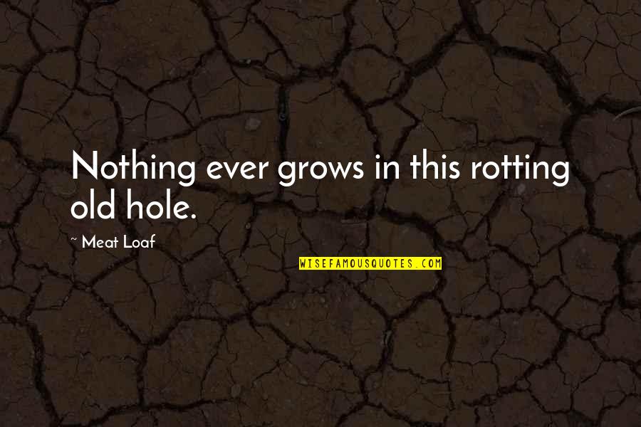 Referencing Online Quotes By Meat Loaf: Nothing ever grows in this rotting old hole.