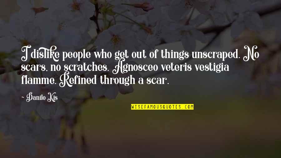 Refined Quotes By Danilo Kis: I dislike people who get out of things