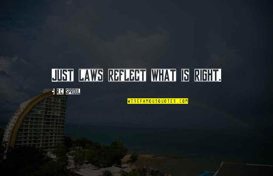 Reflect Quotes By R.C. Sproul: Just laws reflect what is right. Reflect Quotes By R.C. Sproul: Just laws reflect what is right.
