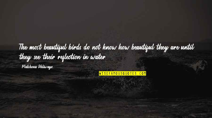 Reflection In Water Quotes By Matshona Dhliwayo: The most beautiful birds do not know how