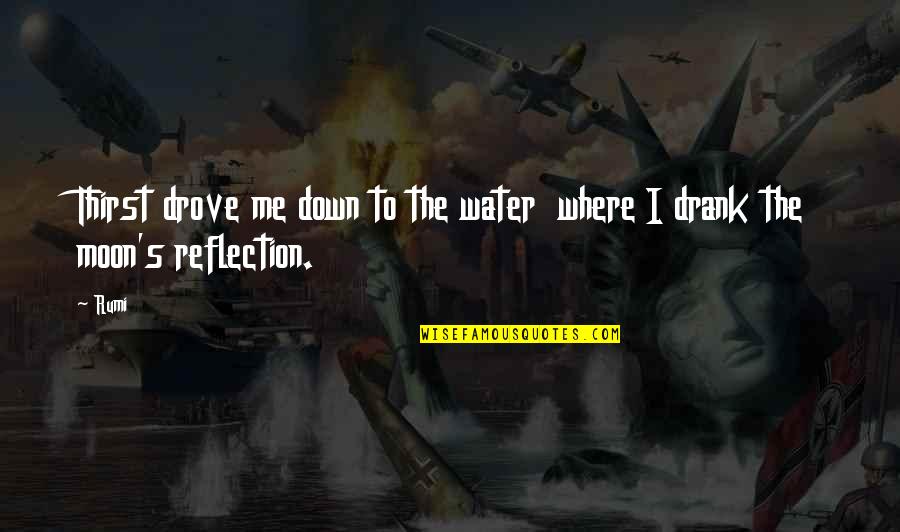 Reflection In Water Quotes By Rumi: Thirst drove me down to the water where