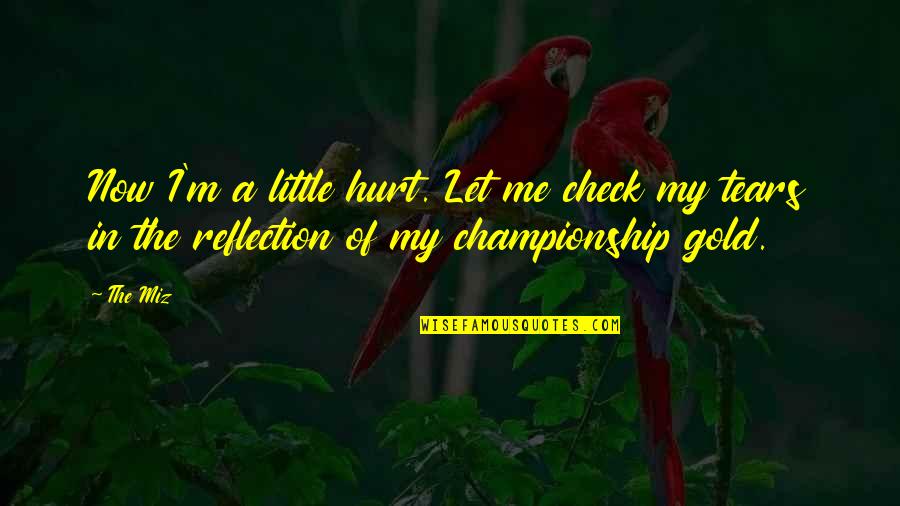Reflection Of Me Quotes By The Miz: Now I'm a little hurt. Let me check
