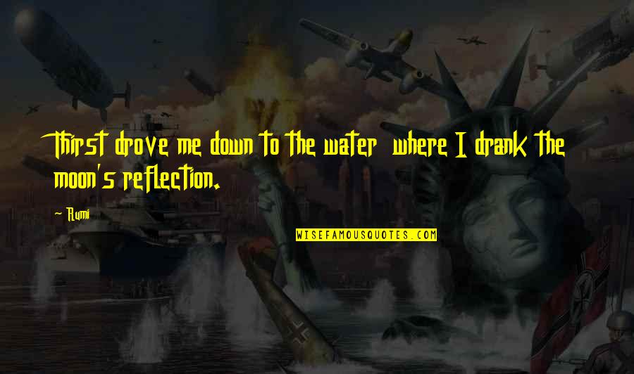 Reflection Water Quotes By Rumi: Thirst drove me down to the water where