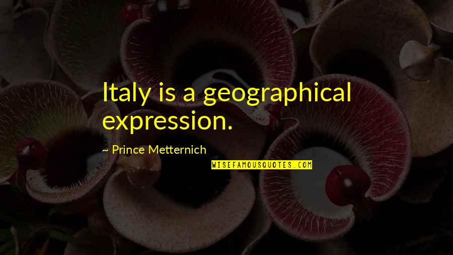 Reflective Practitioner Quotes By Prince Metternich: Italy is a geographical expression.