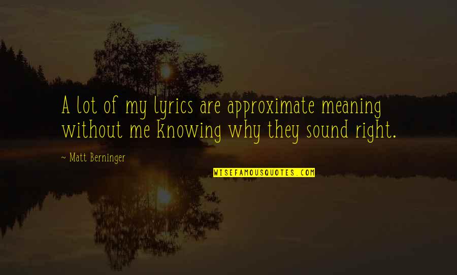 Reflexionar Sinonimos Quotes By Matt Berninger: A lot of my lyrics are approximate meaning Reflexionar Sinonimos Quotes By Matt Berninger: A lot of my lyrics are approximate meaning