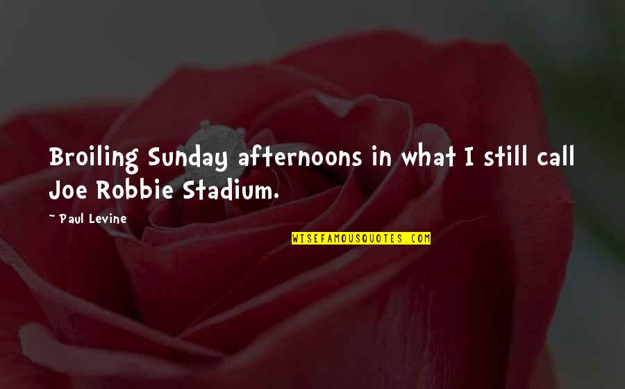 Reflexionar Sinonimos Quotes By Paul Levine: Broiling Sunday afternoons in what I still call