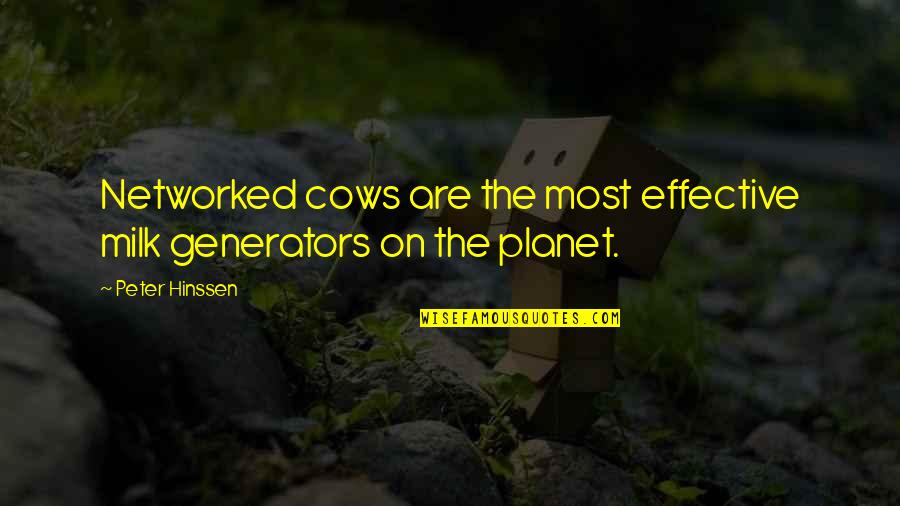 Reflexionar Sinonimos Quotes By Peter Hinssen: Networked cows are the most effective milk generators