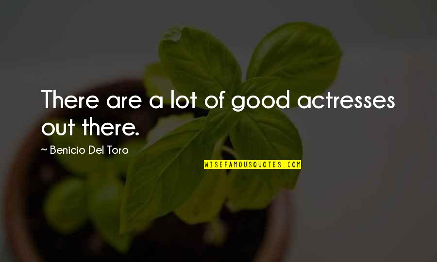 Reforesting Quotes By Benicio Del Toro: There are a lot of good actresses out