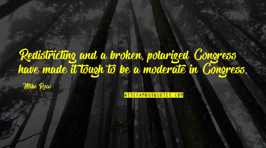 Reformational Philosophy Quotes By Mike Ross: Redistricting and a broken, polarized Congress have made