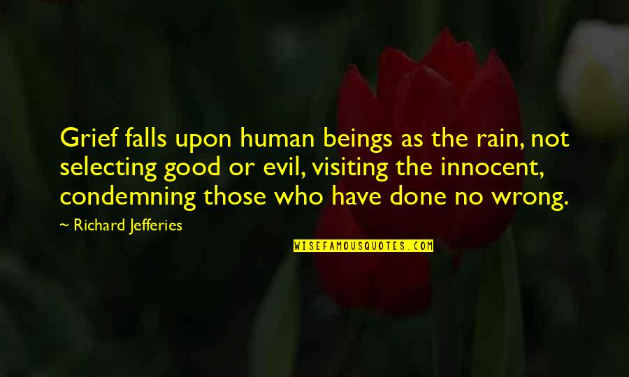 Reforming Religion Quotes By Richard Jefferies: Grief falls upon human beings as the rain, Reforming Religion Quotes By Richard Jefferies: Grief falls upon human beings as the rain,
