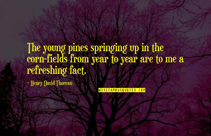 Refreshing Quotes By Henry David Thoreau: The young pines springing up in the corn-fields