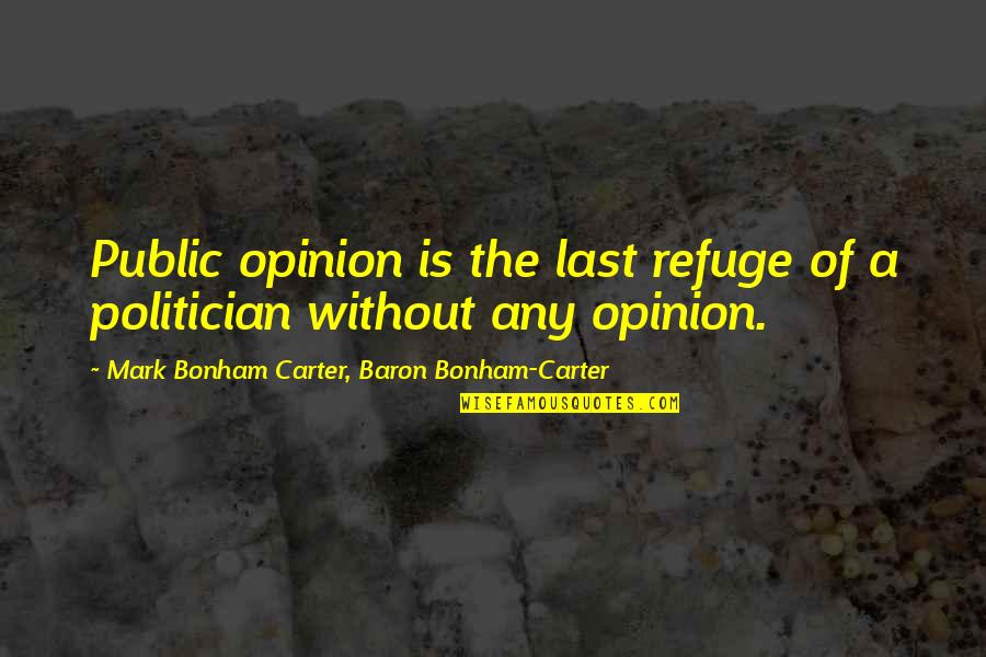 Refuge Quotes By Mark Bonham Carter, Baron Bonham-Carter: Public opinion is the last refuge of a