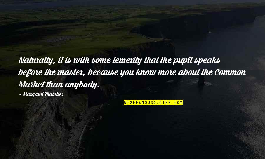 Regada Remix Quotes By Margaret Thatcher: Naturally, it is with some temerity that the Regada Remix Quotes By Margaret Thatcher: Naturally, it is with some temerity that the