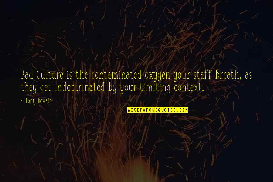 Regalash Quotes By Tony Dovale: Bad Culture is the contaminated oxygen your staff