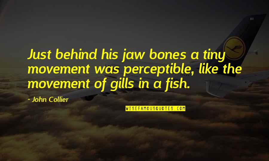Regally In A Sentence Quotes By John Collier: Just behind his jaw bones a tiny movement