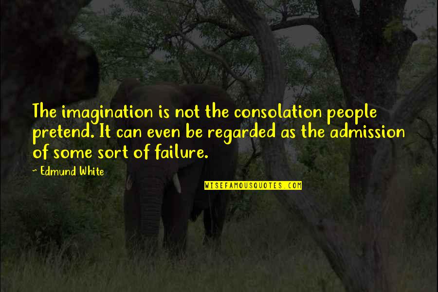 Regarded Quotes By Edmund White: The imagination is not the consolation people pretend.