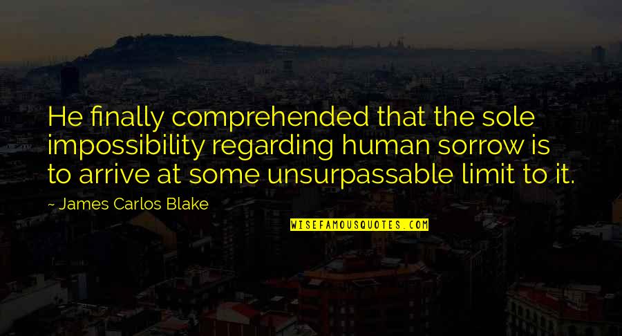 Regarding Quotes By James Carlos Blake: He finally comprehended that the sole impossibility regarding