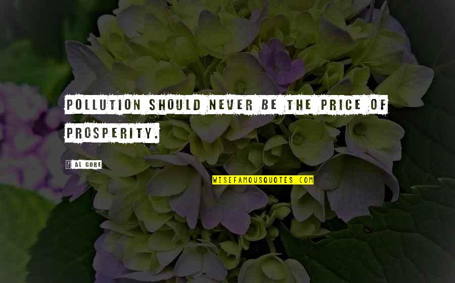 Regazzoni Carlos Quotes By Al Gore: Pollution should never be the price of prosperity.