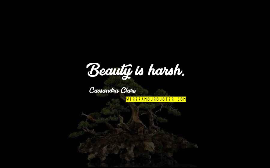 Regeln Fur Quotes By Cassandra Clare: Beauty is harsh.