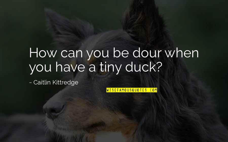 Regex Capture Between Quotes By Caitlin Kittredge: How can you be dour when you have Regex Capture Between Quotes By Caitlin Kittredge: How can you be dour when you have
