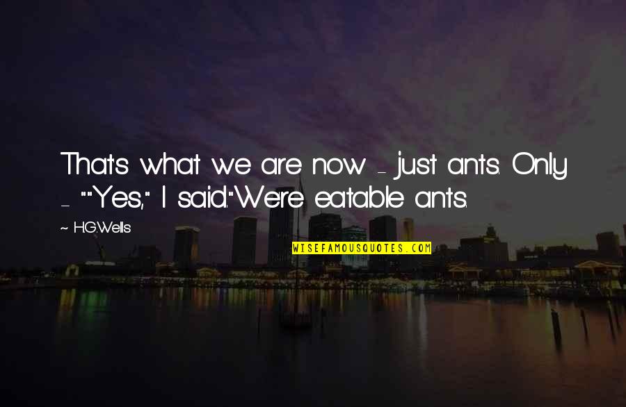 Reggaeton Love Quotes By H.G.Wells: That's what we are now - just ants.