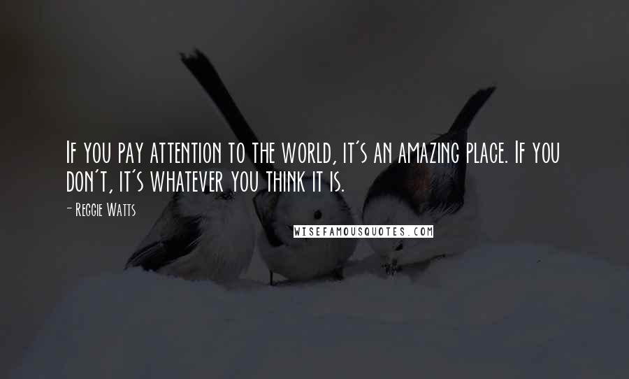Reggie Watts quotes: If you pay attention to the world, it's an amazing place. If you don't, it's whatever you think it is. Reggie Watts quotes: If you pay attention to the world, it's an amazing place. If you don't, it's whatever you think it is.