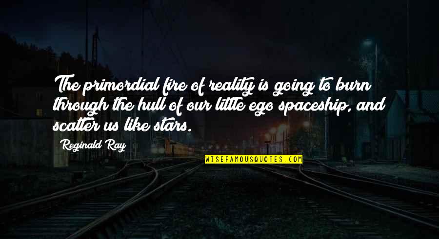 Reginald Quotes By Reginald Ray: The primordial fire of reality is going to