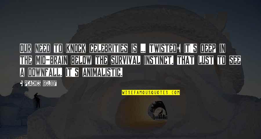 Regine Velasquez Quotes By Peaches Geldof: Our need to knock celebrities is ... Twisted: Regine Velasquez Quotes By Peaches Geldof: Our need to knock celebrities is ... Twisted: