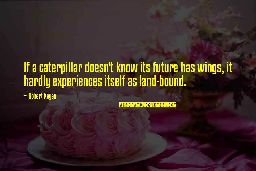 Regions Stock Quotes By Robert Kagan: If a caterpillar doesn't know its future has