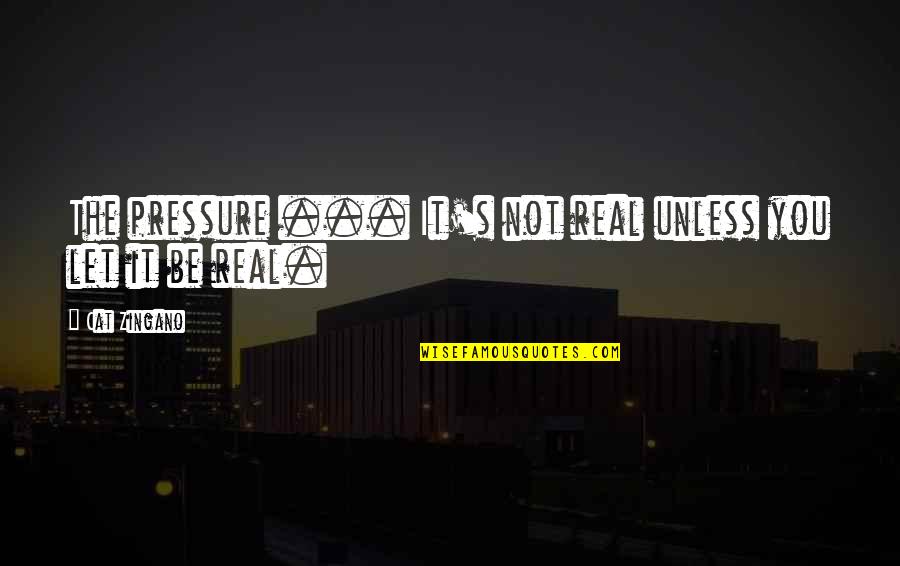 Registro Social De Hogares Quotes By Cat Zingano: The pressure ... It's not real unless you