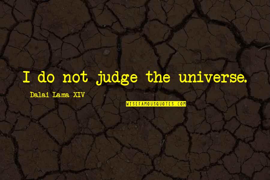 Regiunile Europei Quotes By Dalai Lama XIV: I do not judge the universe.