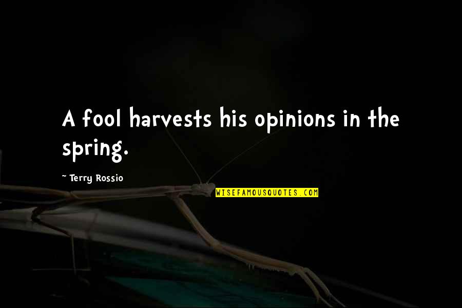 Reglamentos Cortos Quotes By Terry Rossio: A fool harvests his opinions in the spring.
