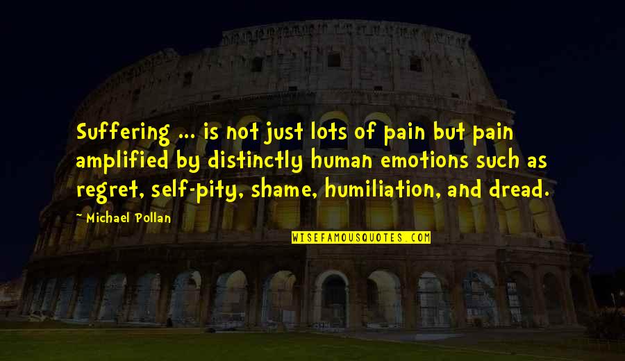 Regret And Pain Quotes By Michael Pollan: Suffering ... is not just lots of pain