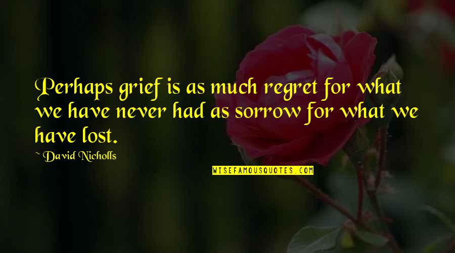 Regret And Sorrow Quotes By David Nicholls: Perhaps grief is as much regret for what