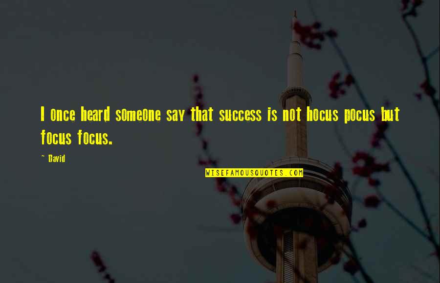 Regret Choices Quotes By David: I once heard someone say that success is