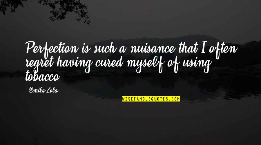 Regret Myself Quotes By Emile Zola: Perfection is such a nuisance that I often