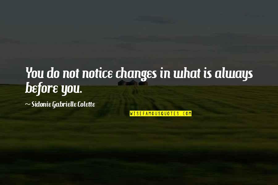 Regret Or Rejoice Quotes By Sidonie Gabrielle Colette: You do not notice changes in what is