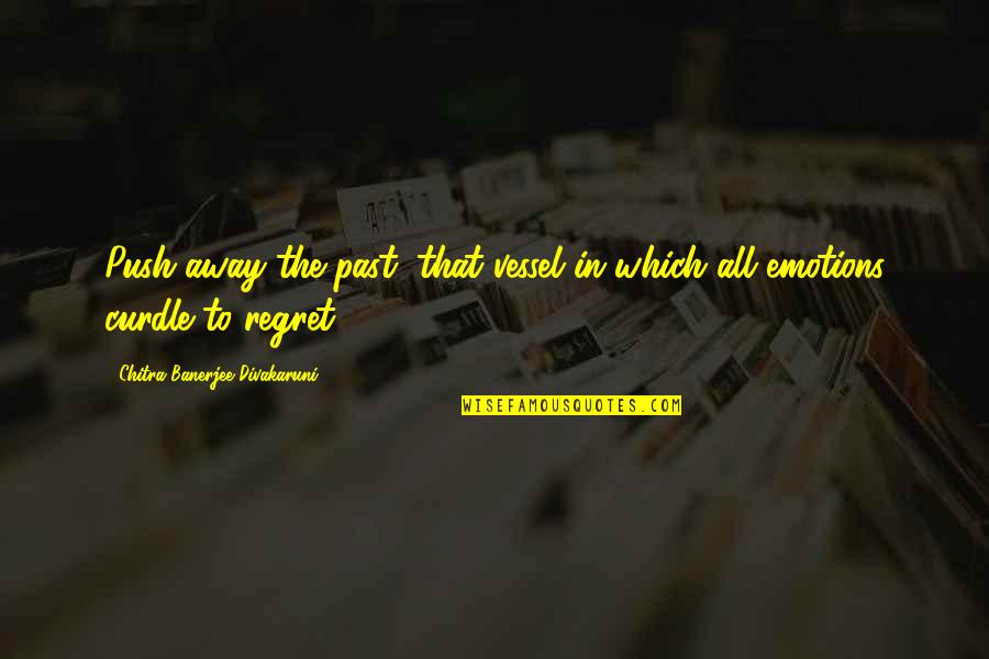 Regret Quotes And Quotes By Chitra Banerjee Divakaruni: Push away the past, that vessel in which