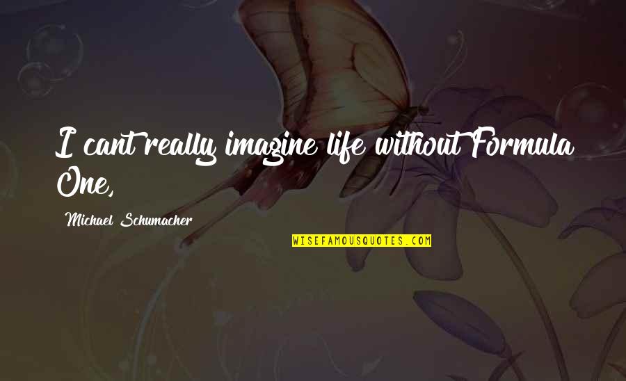 Regrets In Love Tumblr Quotes By Michael Schumacher: I cant really imagine life without Formula One,