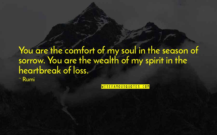 Regretters Quotes By Rumi: You are the comfort of my soul in