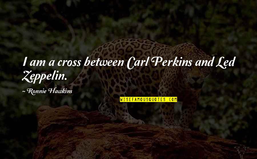 Regular Days Quotes By Ronnie Hawkins: I am a cross between Carl Perkins and