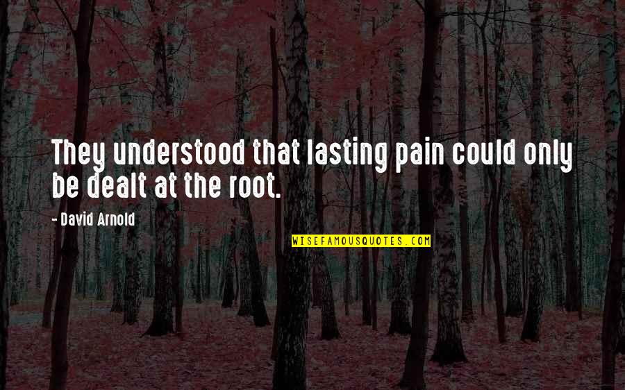 Reguliers Quotes By David Arnold: They understood that lasting pain could only be