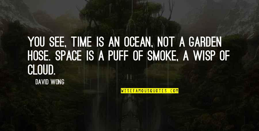 Regwan Talent Quotes By David Wong: You see, time is an ocean, not a Regwan Talent Quotes By David Wong: You see, time is an ocean, not a
